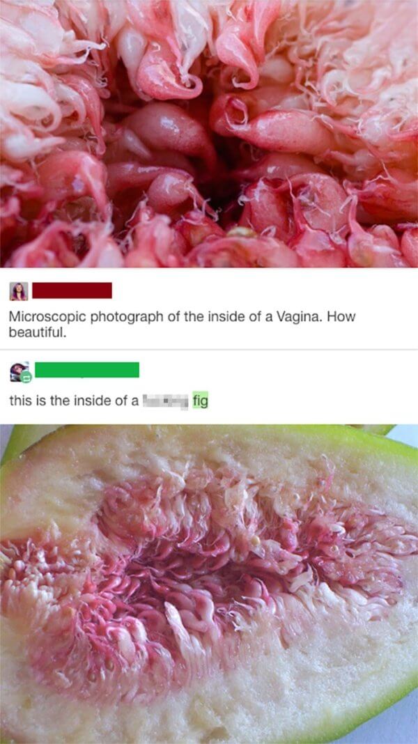 You Are Not So Smart Funny People 