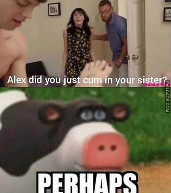 Alex Did You Just Cum in Your Sister Perhaps Meme