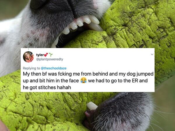 Funny Awkward Sex Situations 