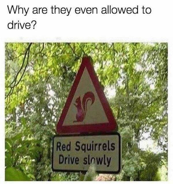 Just Try Not to Laugh at These Funny Pics 