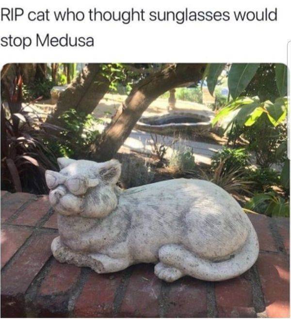 Just Try Not to Laugh at These Funny Pics 