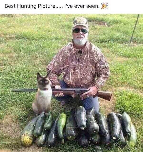 Very Funny Pictures No, Stop, You’re Laughing Again!  