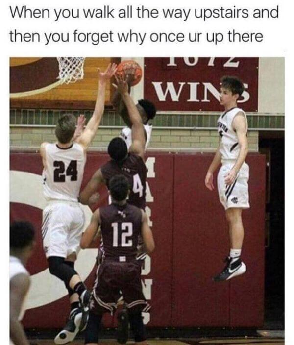 Very Funny Pictures No, Stop, You’re Laughing Again!  