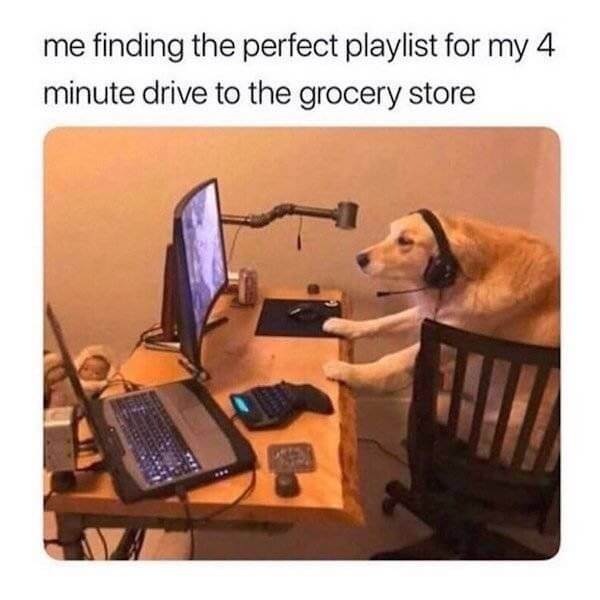 Very Funny Pictures No, Stop, You’re Laughing Again!  