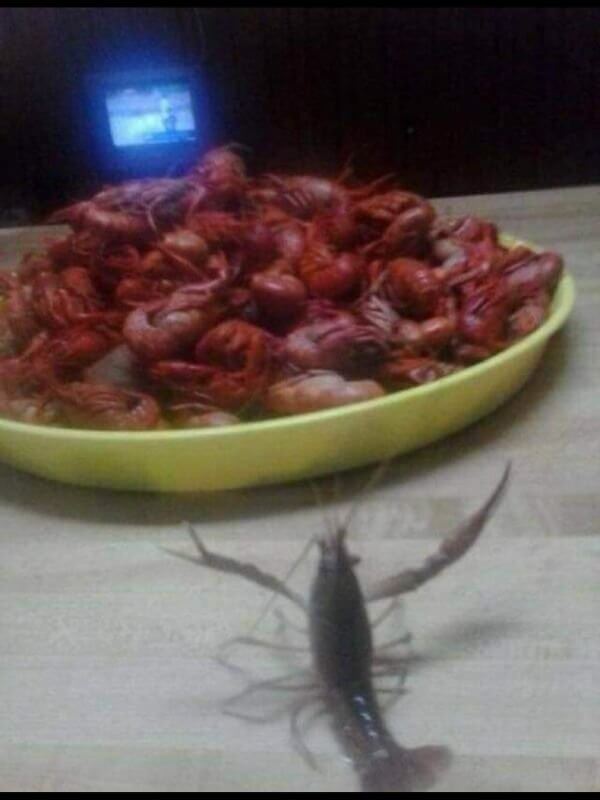 Wtf Weirdest and Most Unexplainable Pictures Ever 