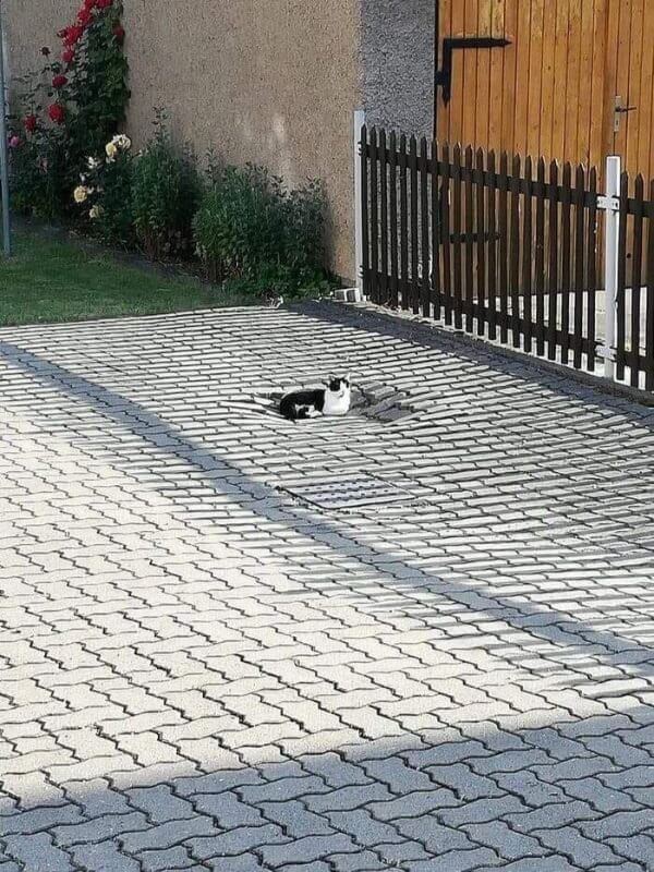 Wtf Weirdest and Most Unexplainable Pictures Ever 