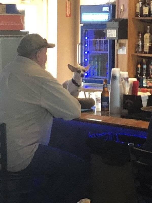 You Don't See Things Like This Every Day 