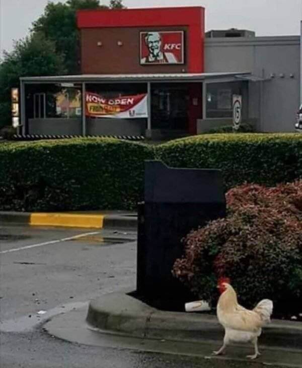 You Don't See Things Like This Every Day 