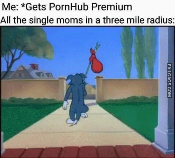 All the Single Moms Where Did the Go Me Gets Pornhub Premium All the Single Moms in a Three Mile Radius Meme