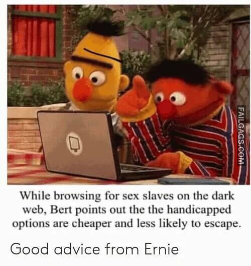 Buying Sex Slaves on the Dark Web While Browsing for Sex Slaves on the Dark Web Bert Points Out the the Handicapped Options Are Cheaper and Less Likely to Escape. Good Advice From Ernie Memes