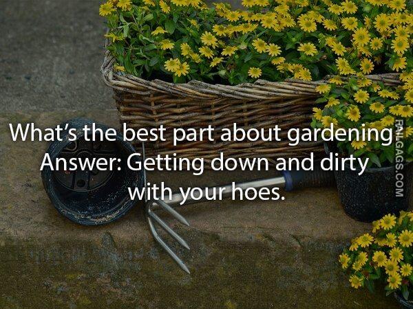 Dirty Double Meaning Jokes 