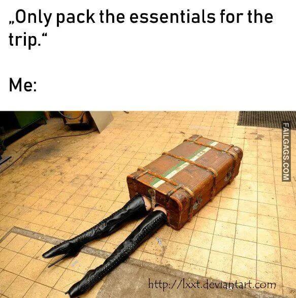 Only the Essentials Only Pack the Essentials for the Trip Me Memes