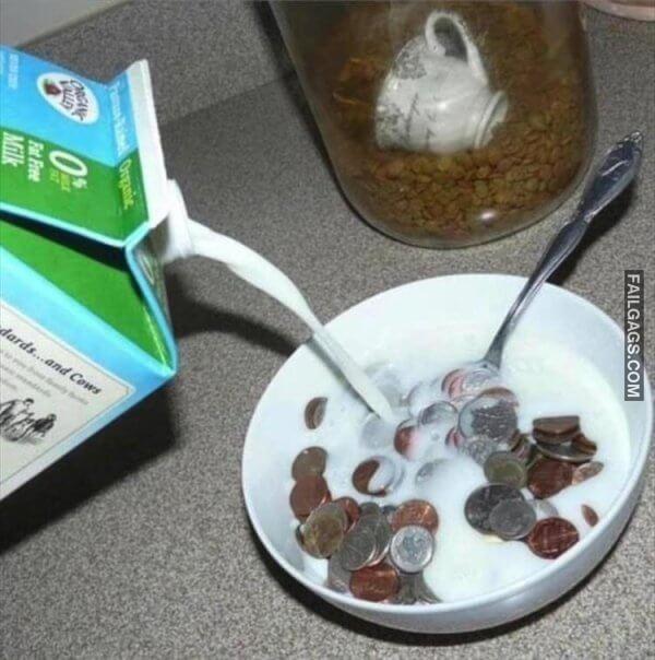 WTF Photos Can Someone Please Tell Me Wtf is Happening Here? 