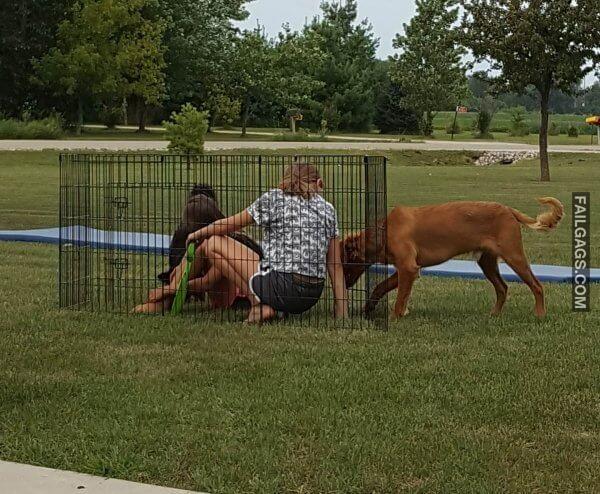 WTF Photos Can Someone Please Tell Me Wtf is Happening Here? 