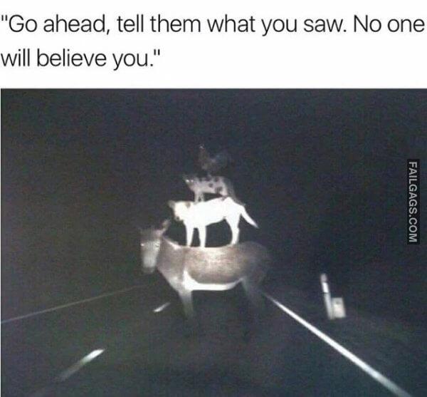 WTF Photos Can Someone Please Tell Me Wtf is Happening Here? 