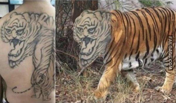 Weird Memes and Great Pics to Improve Your Mood 