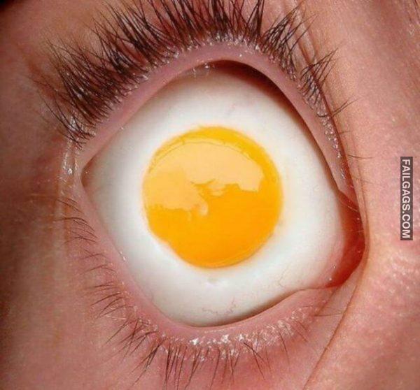 Hilarious WTF Photos 