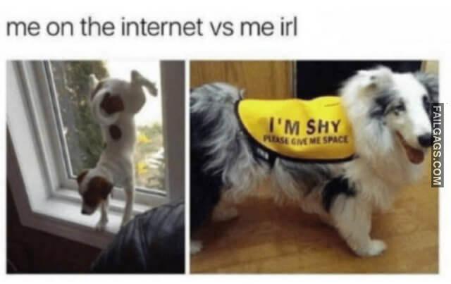 Online Vs Reality Memes 