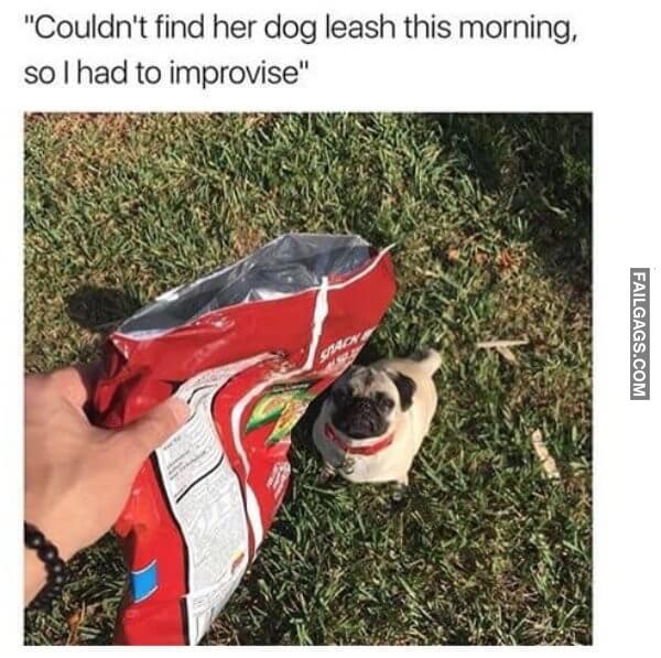 These People Are So Smart 