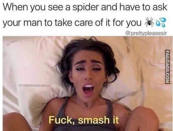 When You See a Spider and Have to Ask Your Man to Take Care of It for You Fuck Smash It Memes