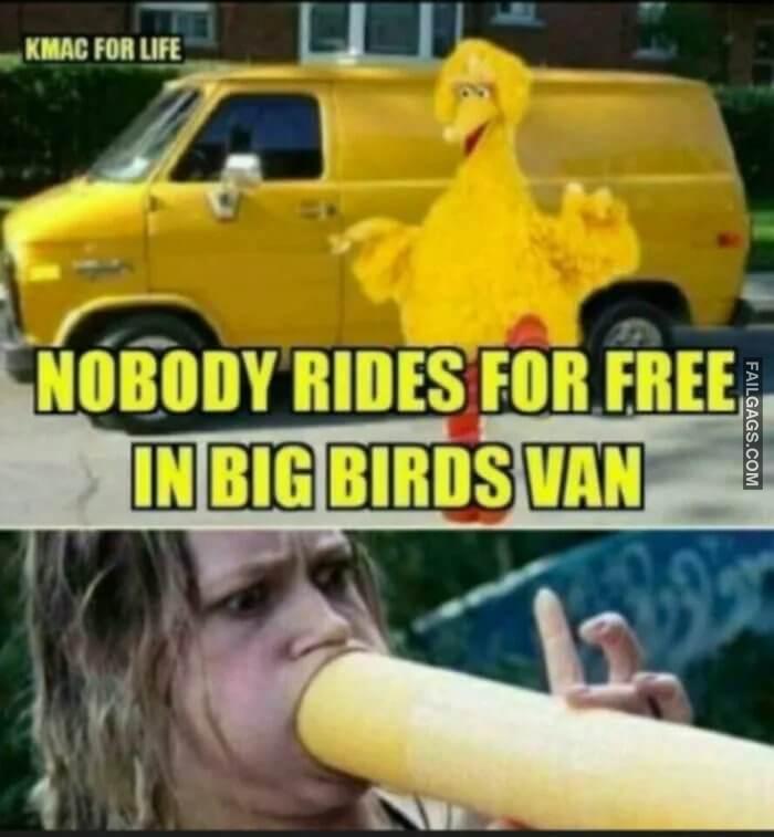 Nobody Rides for Free in Big Birds Van Memes