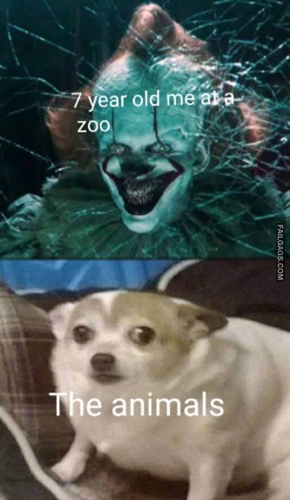 Random Funny Pictures 