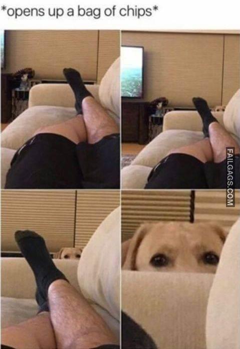 Random Funny Pictures 