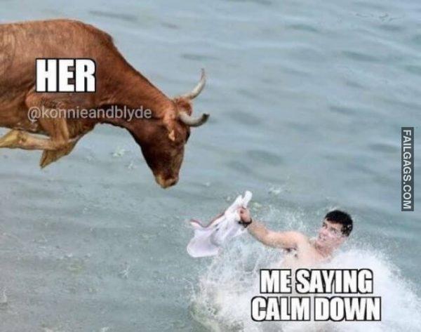 Random Funny Pictures 