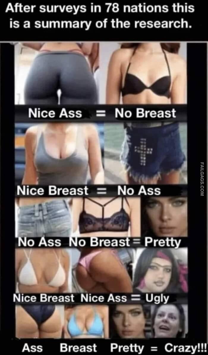 After Surveys in 78 Nations This is a Summary of the Research. Nice Ass No Breast Nice Breast No Ass No Ass No Breast Pretty Nice Breast Nice Ass Ugly Ass Breast Pretty Crazy Memes