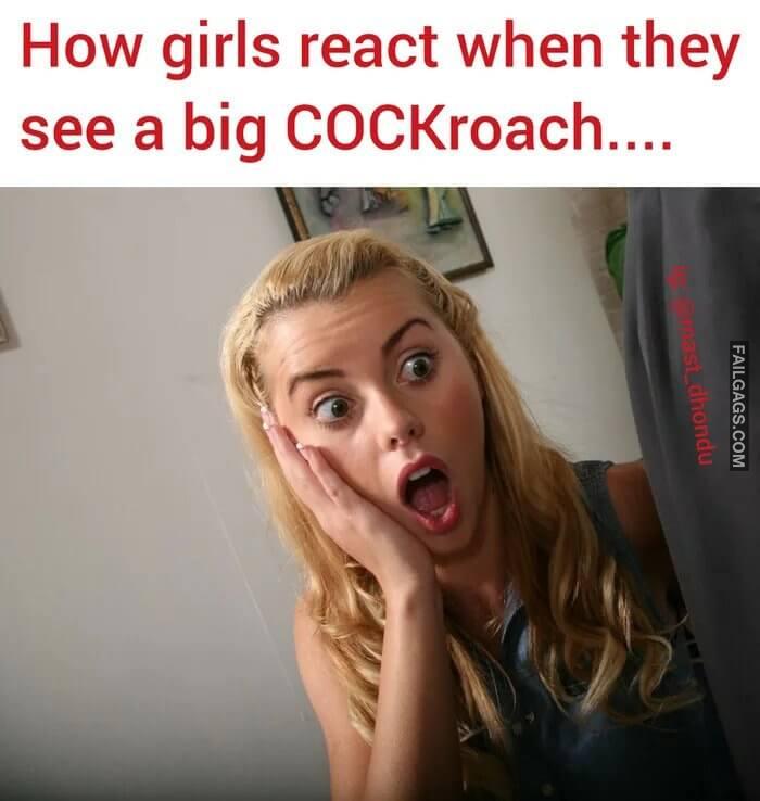 How girls react when they see a big COCKroach memes