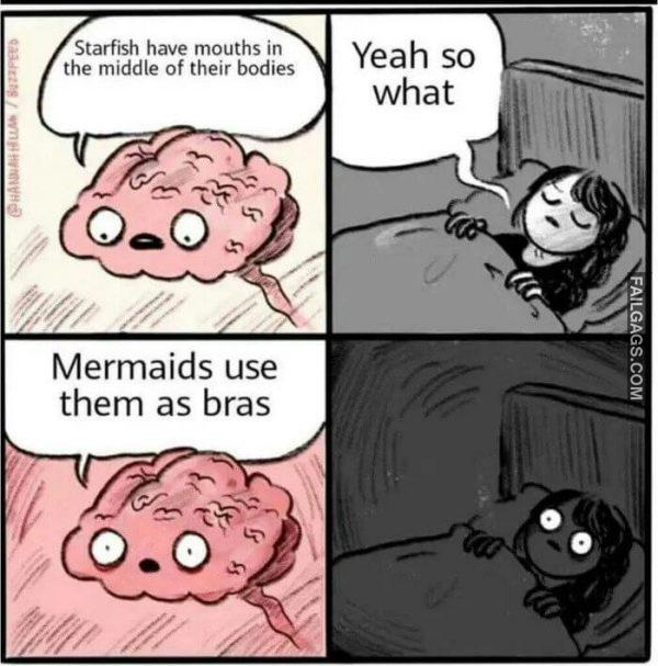 Starfish Have Mouths in the Middle of Their Bodies Yeah So What Mermaids Use Them as Bras Mermaids Are Wild Memes