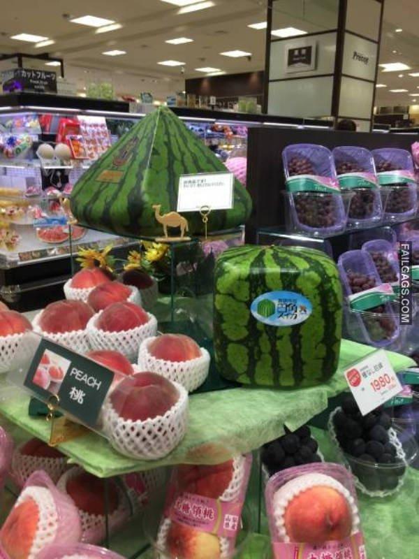 Funny Things That Can Happen Only in Asia 14