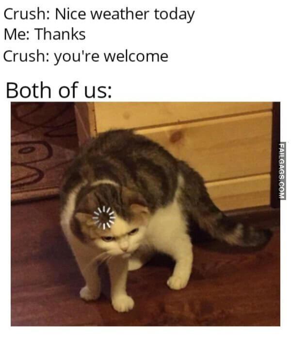 Random Funny Memes 3