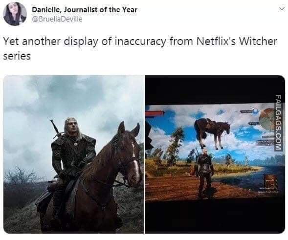 Yet Another Display of Inaccuracy From Netflix's Witcher Series Netflix Always Messes Up Adaptations Memes