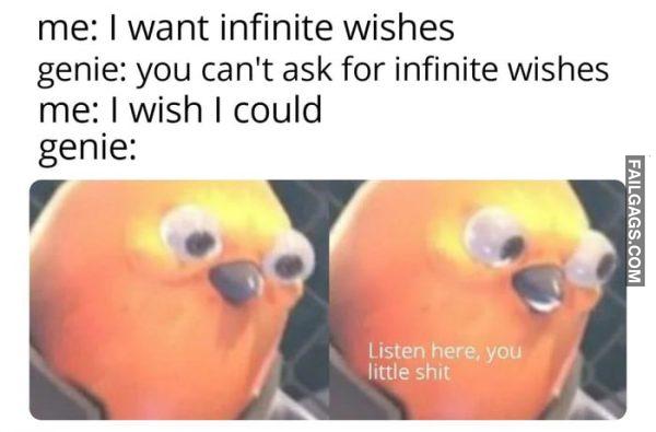 Me: I Want Infinite Wishes Genie: You Can't Ask for Infinite Wishes Me: I Wish I Could Genie: Listen Here You Little Shit Memes