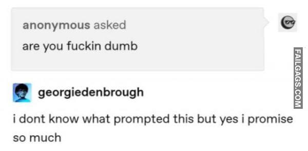 Funny Tumblr Jokes 13