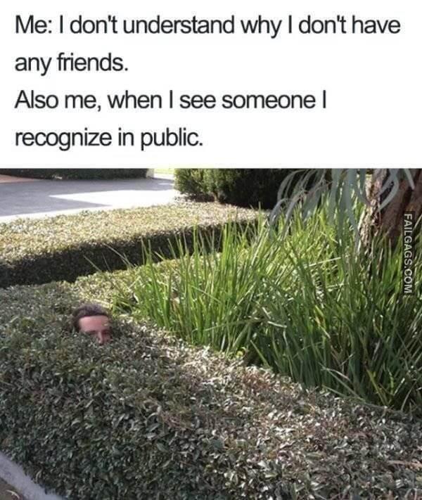 No Arguments Needed Memes 2