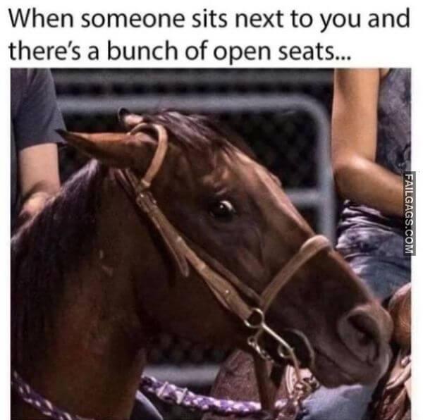 No Arguments Needed Memes 9