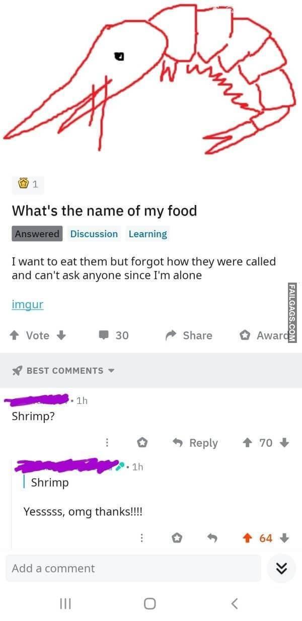 Stupid Memes Thatll Give Your Brain a Break 7