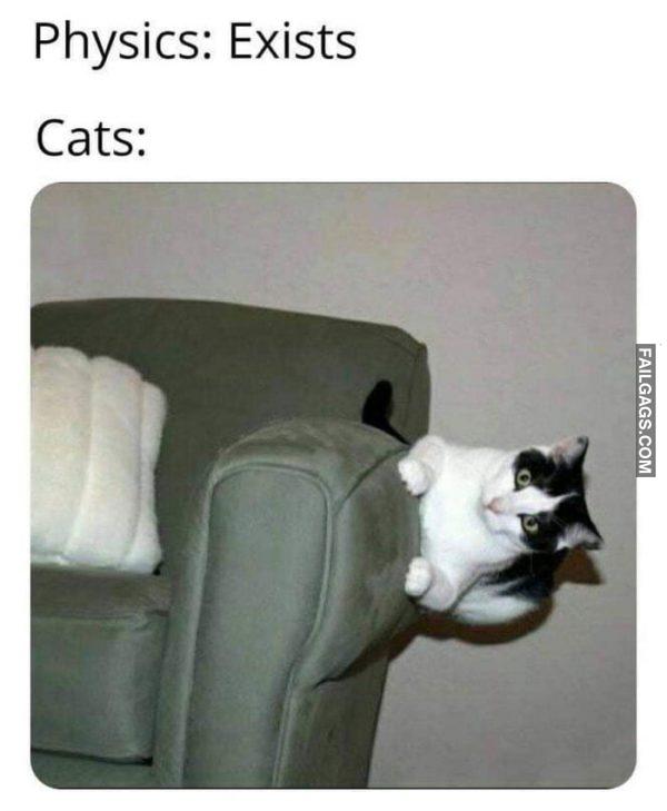 Physics: Exists Cats: Physics Fail Memes