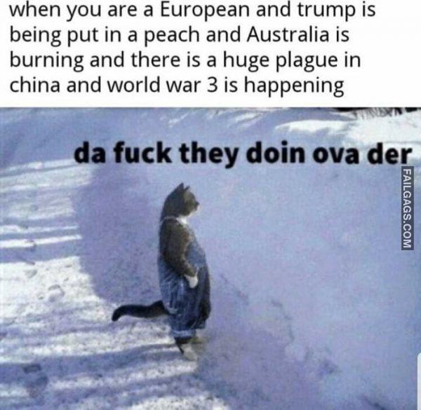 When You Are a European and Trump is Being Put in a Peach and Australia is Burning and There is a Huge Plague in China and World War 3 is Happening Da Fuck They Doin Ova Der Memes