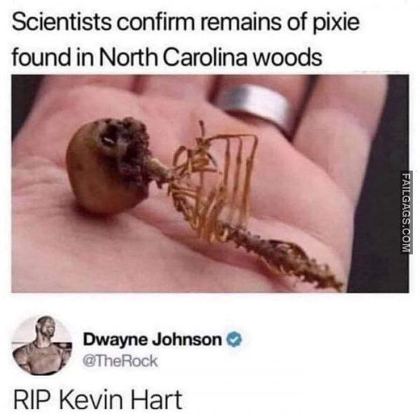 Scientists Confirm Remains of Pixie Found in North Carolina Woods R.I.P. Kevin Hart Memes