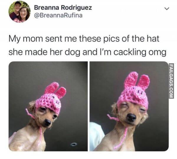 Funny Dog Memes 17