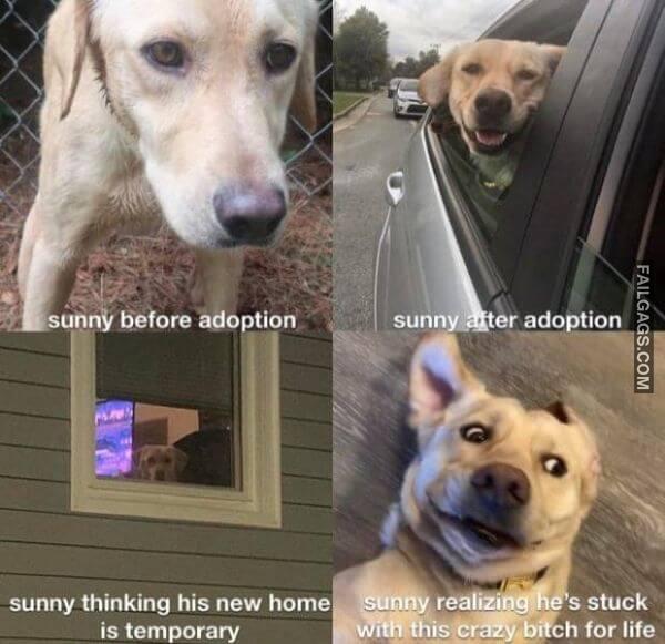 Funny Wholesome Memes 15