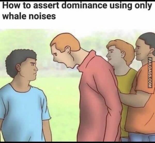 Funny WikiHow Memes 11