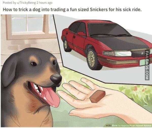 Funny WikiHow Memes 2