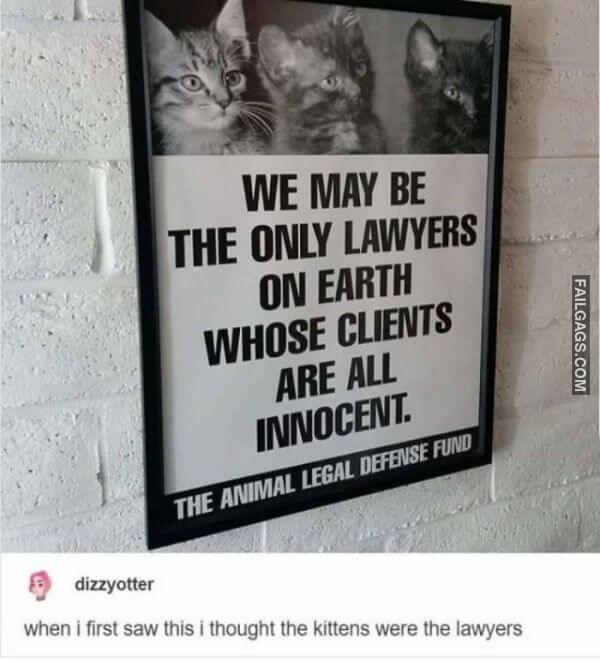 Random Funny Memes 11 6