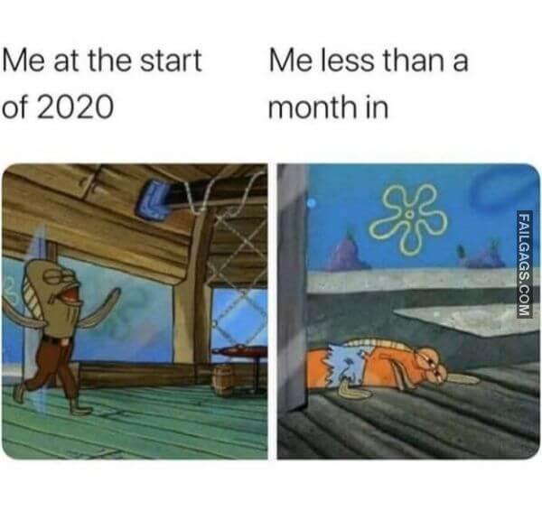 Random Funny Memes 13 4