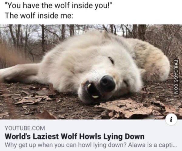 Random Funny Memes 14 2