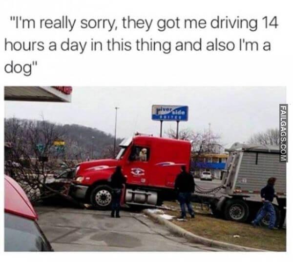 Random Funny Memes 15 3